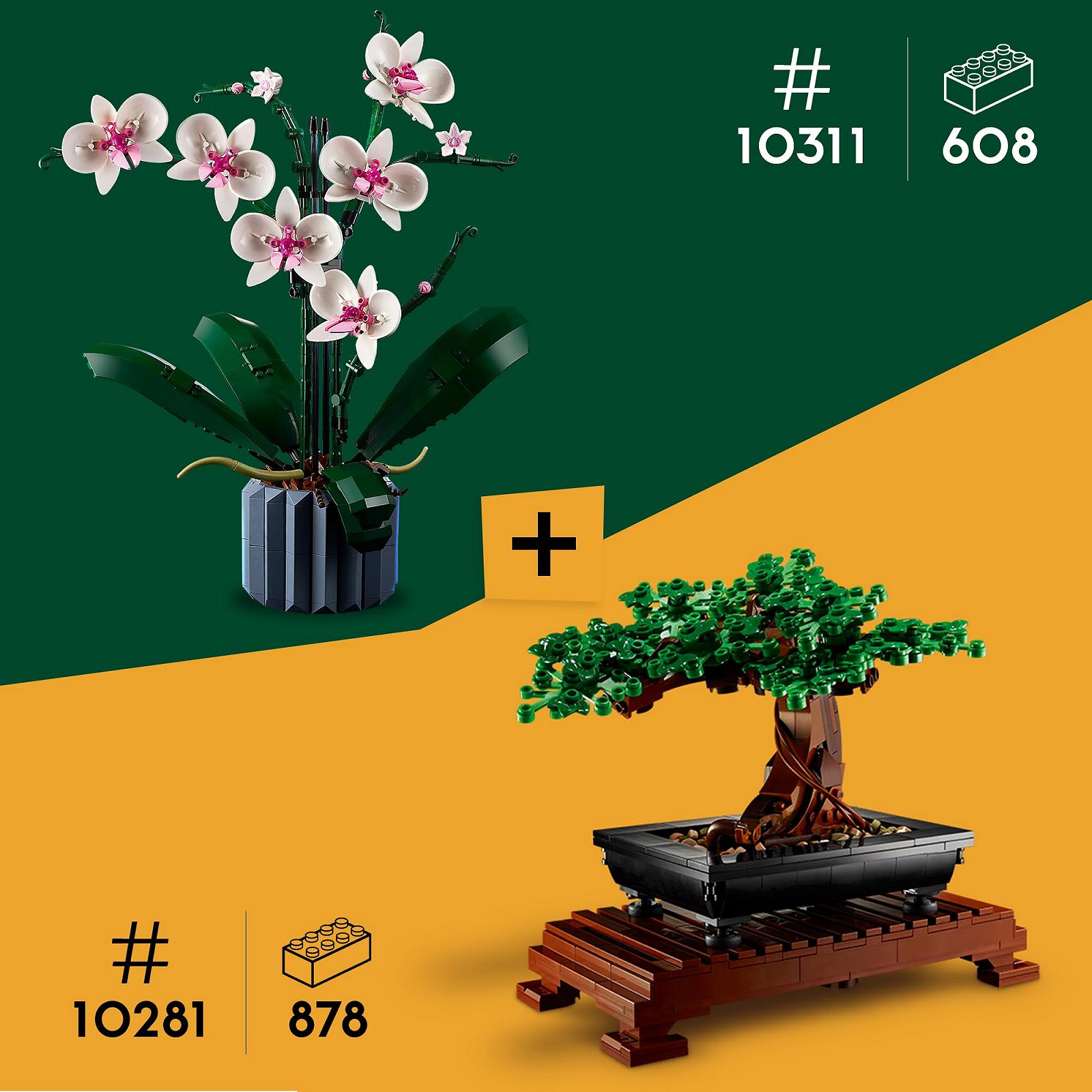 Набір LEGO Icons Botanical Collection 10281 Bonsai Tree та 10311 Orchid, фото №4 Набір LEGO Icons Botanical Collection 10281 Bonsai Tree та 10311 Orchid, фото №4
