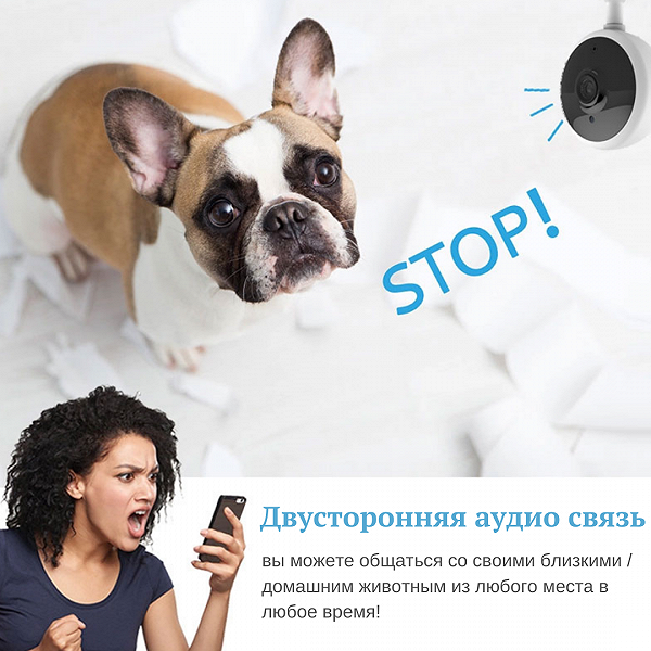Видеоняня с датчиком движения