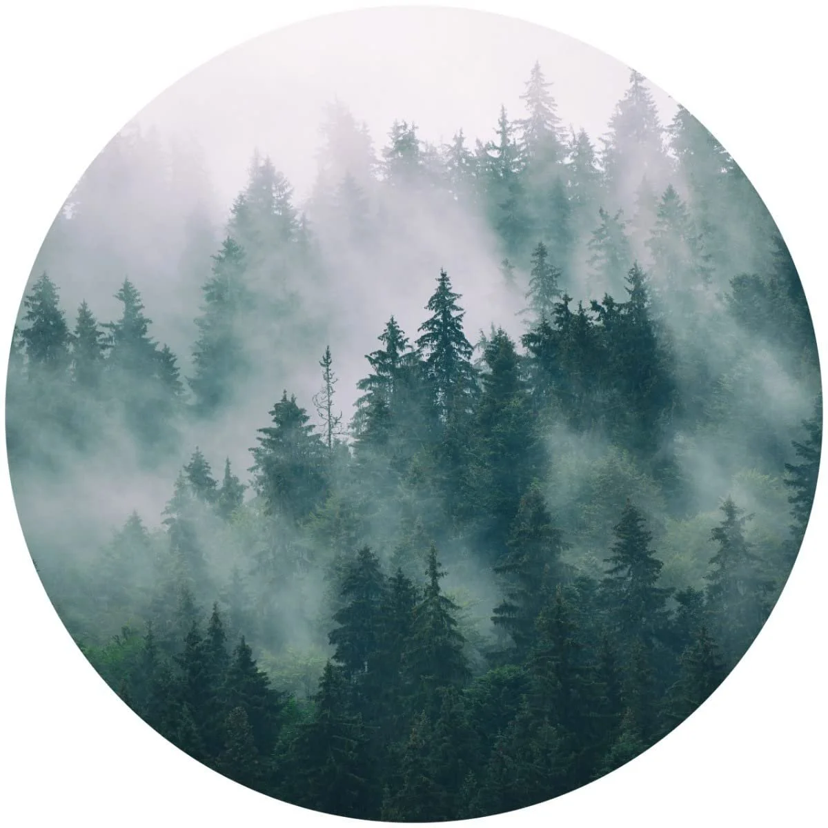 3D наклейка на стіну Muralo Round Forest in Fog 100 см x 100 см Зелений, фото №7 3D наклейка на стіну Muralo Round Forest in Fog 100 см x 100 см Зелений, фото №7