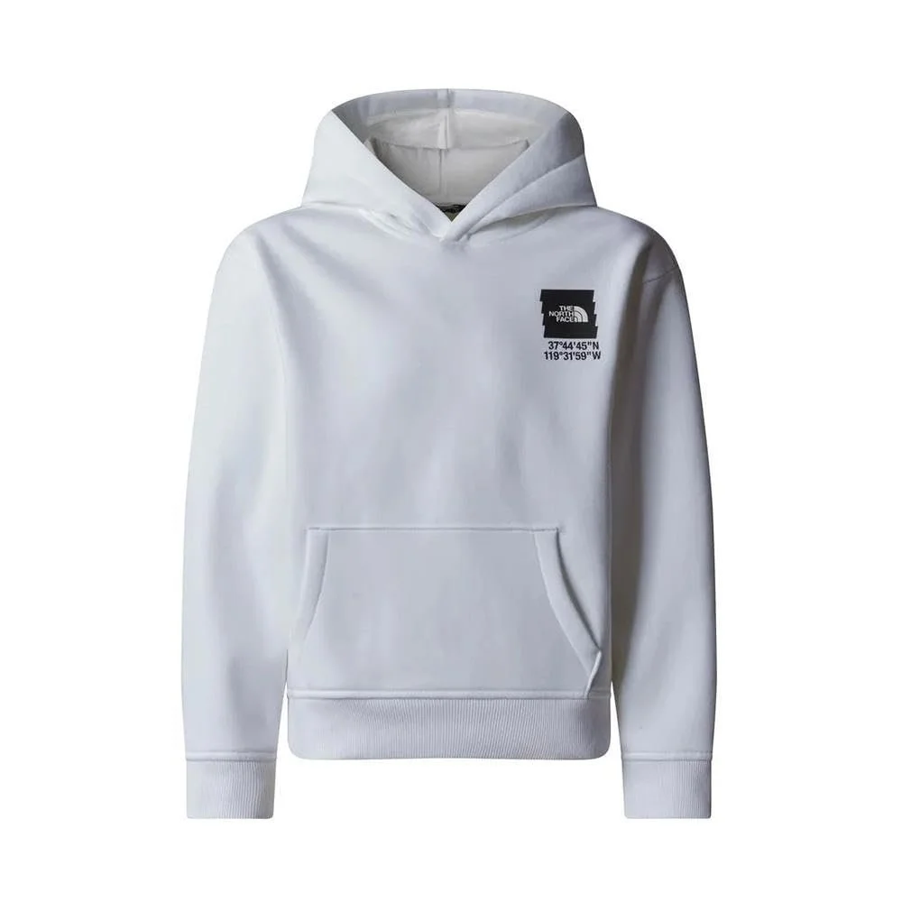Толстовка THE NORTH FACE Coordinates Graphic Oversized для дітей, унісекс, фото №1