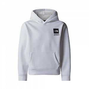 Толстовка THE NORTH FACE Coordinates Graphic Oversized для детей, унисекс - Фото 1