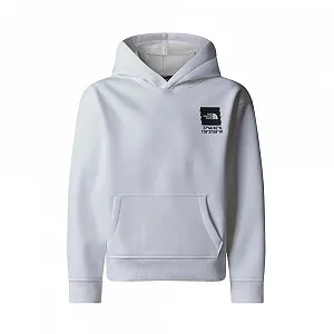 Купить Толстовка THE NORTH FACE Coordinates Graphic Oversized для детей, унисекс - Фото 1 Толстовка THE NORTH FACE Coordinates Graphic Oversized для детей, унисекс - Фото 1