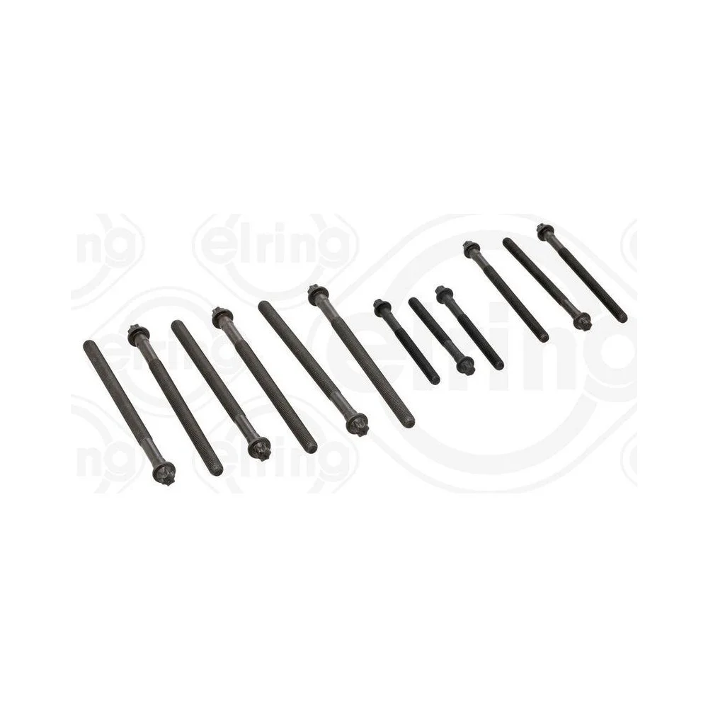 Комплект болтів головки блоку циліндрів ELRING 010.230 для BMW, фото №1