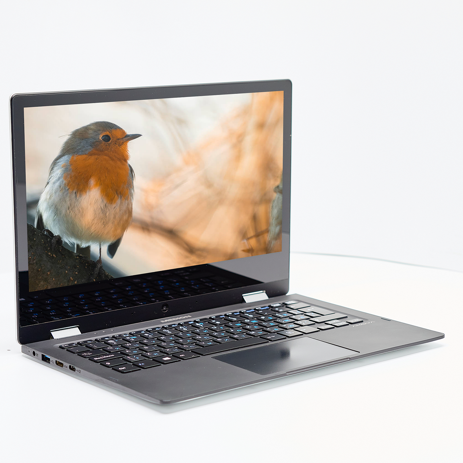 Ноутбук-планшет 11.6" Medion (Lenovo Group) Akoya E2291 Intel RAM 4 ГБ eMMc 64 ГБ Металевий корпус Win10 YOGA, фото №3