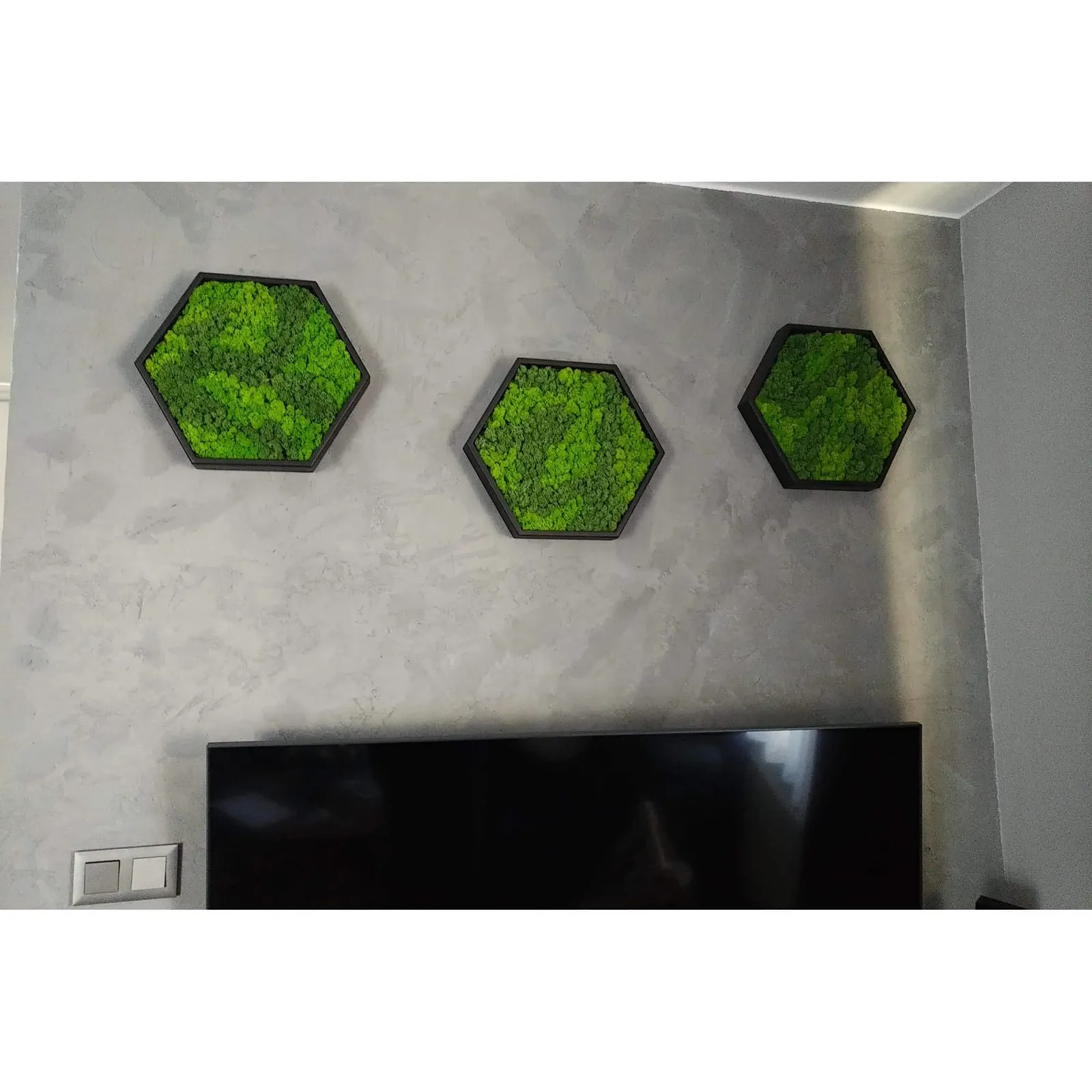 Картина з моху LoveLasy Bicolour Moss Wall Picture Hexagon Чорна рама Середня, фото №2 Картина з моху LoveLasy Bicolour Moss Wall Picture Hexagon Чорна рама Середня, фото №2