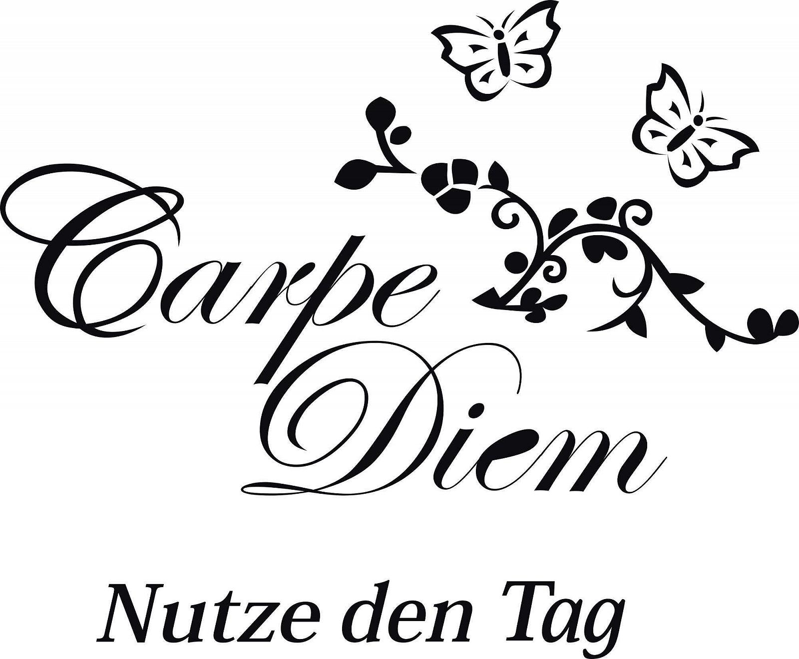 Наклейка на стіну A601 Carpe Diem 70 см x 60 см чорна, фото №6 Наклейка на стіну A601 Carpe Diem 70 см x 60 см чорна, фото №6