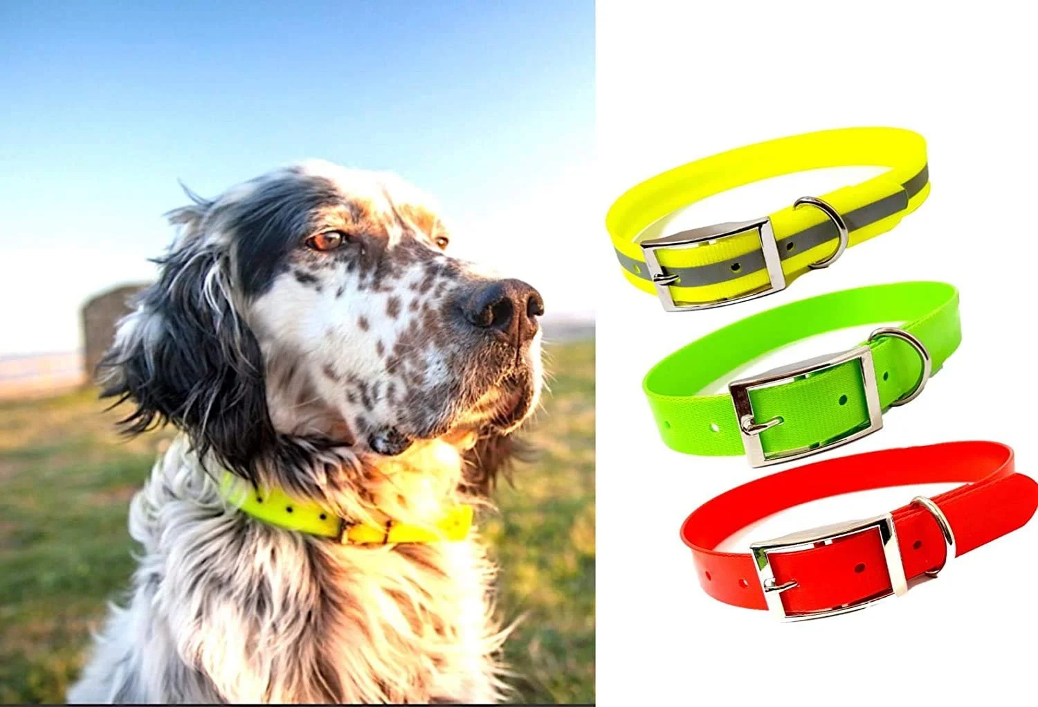 Охотничий ошейник Ares Biothane High Visibility S/M/L неоновый зеленый, фото №1