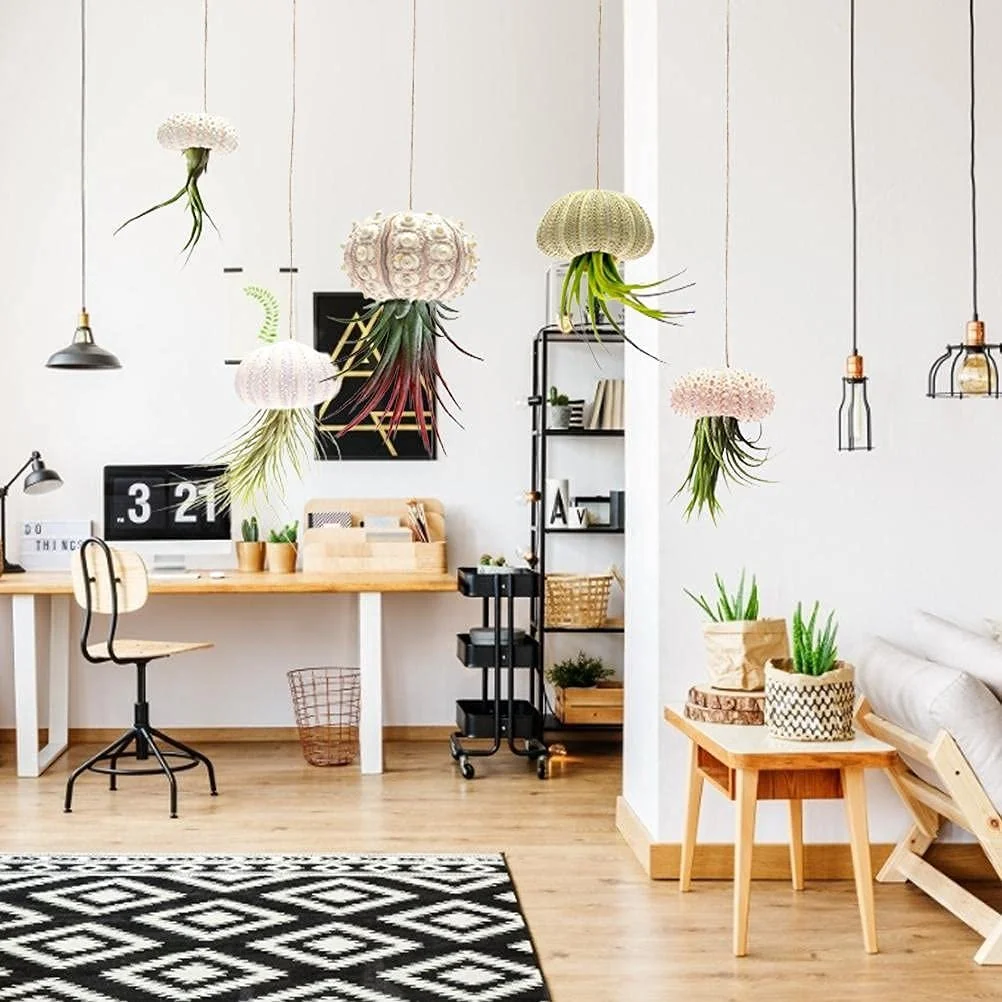 Тримачі для рослин із черепашок морського їжака Набір із 5 шт. підвісні для декору в пляжному стилі, фото №7 Тримачі для рослин із черепашок морського їжака Набір із 5 шт. підвісні для декору в пляжному стилі, фото №7