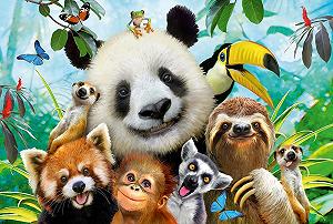 Купить Детский пазл Schmidt Spiele Simple Animal 56359 200 деталей - Фото 1 Детский пазл Schmidt Spiele Simple Animal 56359 200 деталей - Фото 1