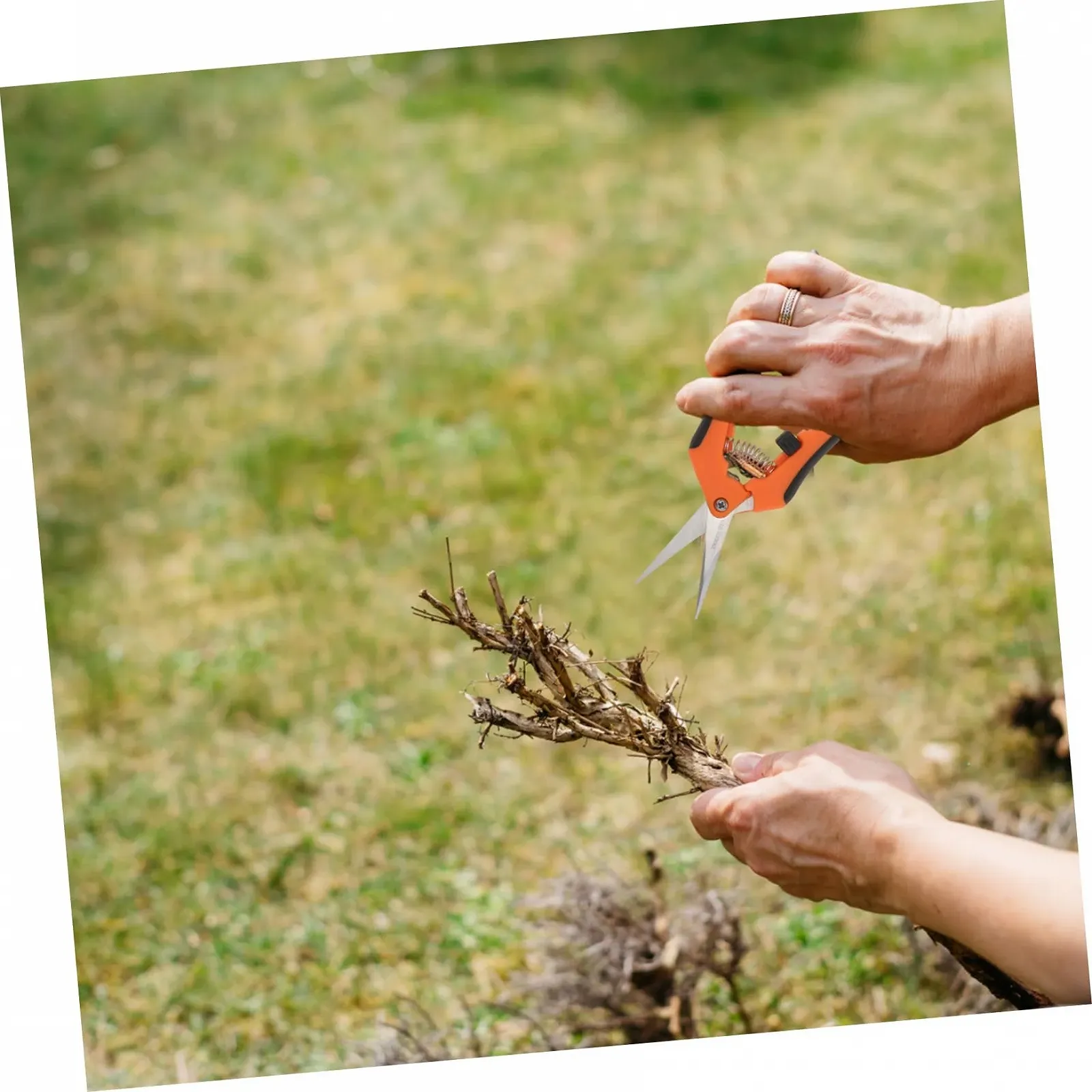 Секатори садові Happyyami 2 шт. прямі нержавіюча сталь пластик, фото №5