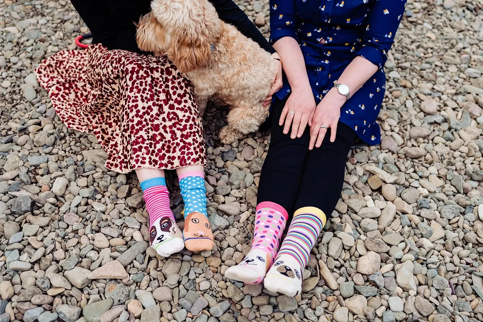 Шкарпетки United Oddsocks Pawsome EUR 37-42, фото №5