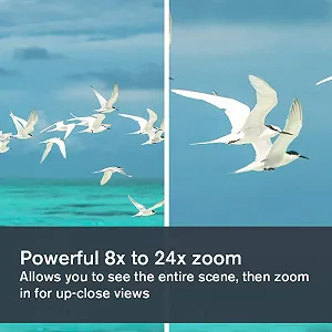 Бінокль Celestron LandScout 72355 8-24x50 мм Black synthetic.ua - Фото 1