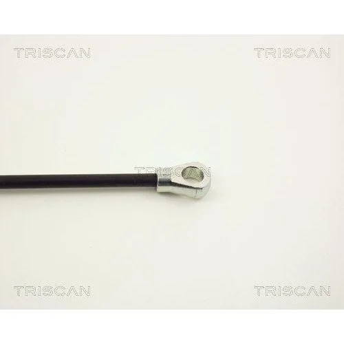 Газова пружина багажника TRISCAN 8710 1601 для FORD, фото №3