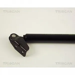 Газлифт багажника TRISCAN 8710 50225 для MAZDA, правый synthetic.ua - Фото 1