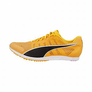 Кросівки PUMA Evospeed Distance 11 чоловічі synthetic.ua - Фото 1