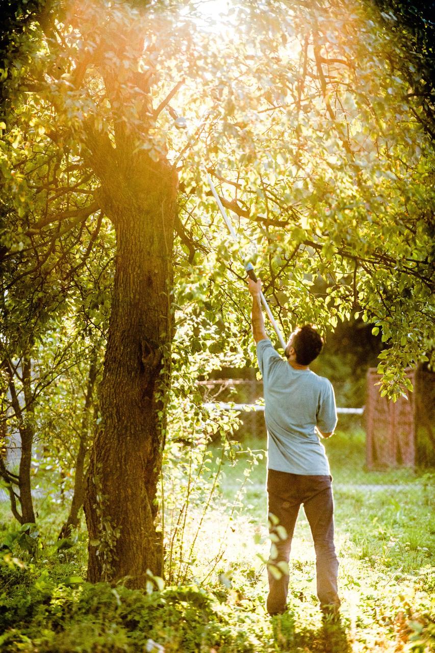 Cellfast Сучкоріз висотний IDEAL телескопічний площинний 200см 1.2 кг, фото №7 Cellfast Сучкоріз висотний IDEAL телескопічний площинний 200см 1.2 кг, фото №7