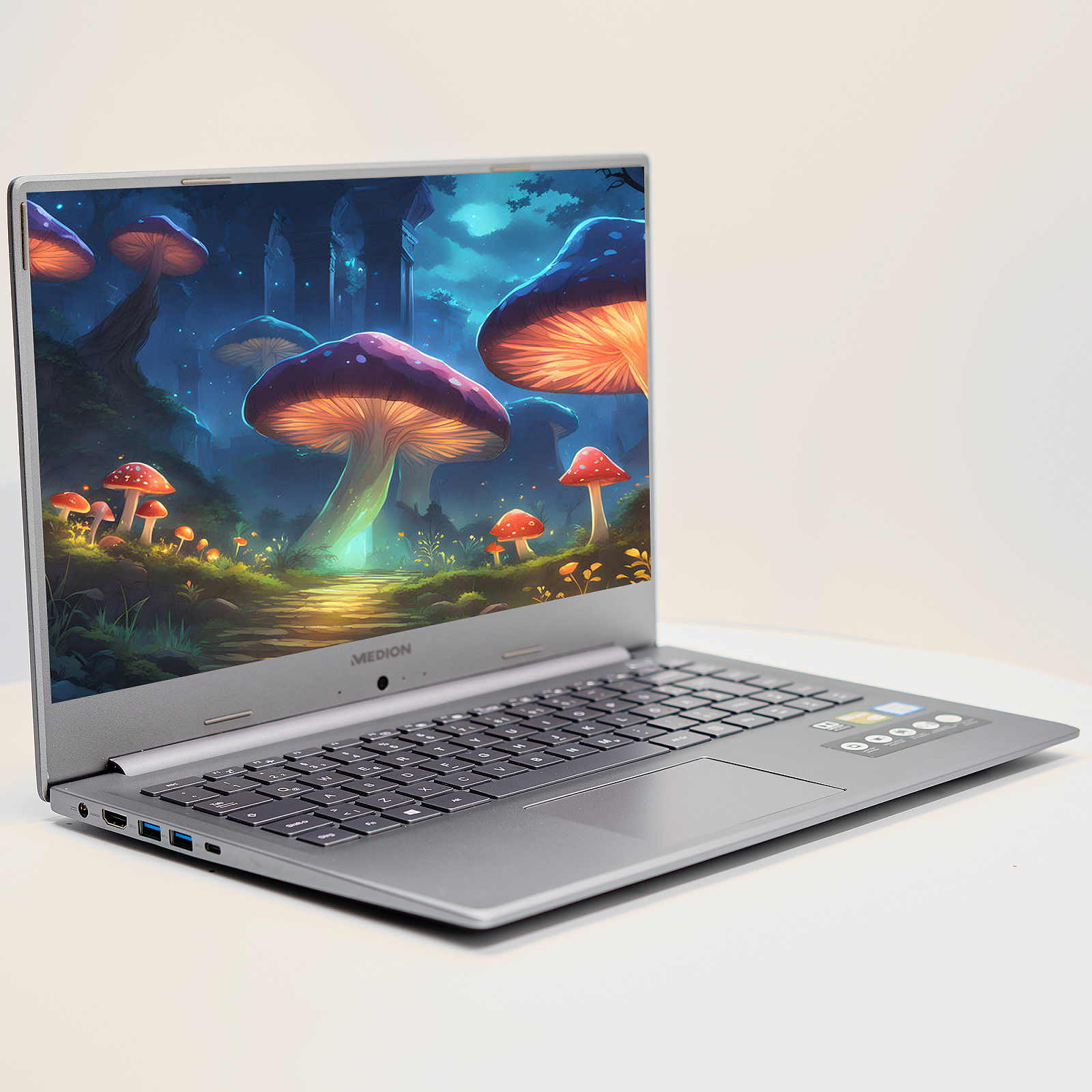 Ноутбук 15.6'' Medion (Lenovo Group) Akoya P15645 | Intel Core i7-8565U | IPS (1920x1080) FullHD | RAM 16 ГБ | SSD 256 ГБ | Nvidia GeForce MX250 | Intel UHD Graphics 620 | Металевий корпус | Win11 (4985), фото №4