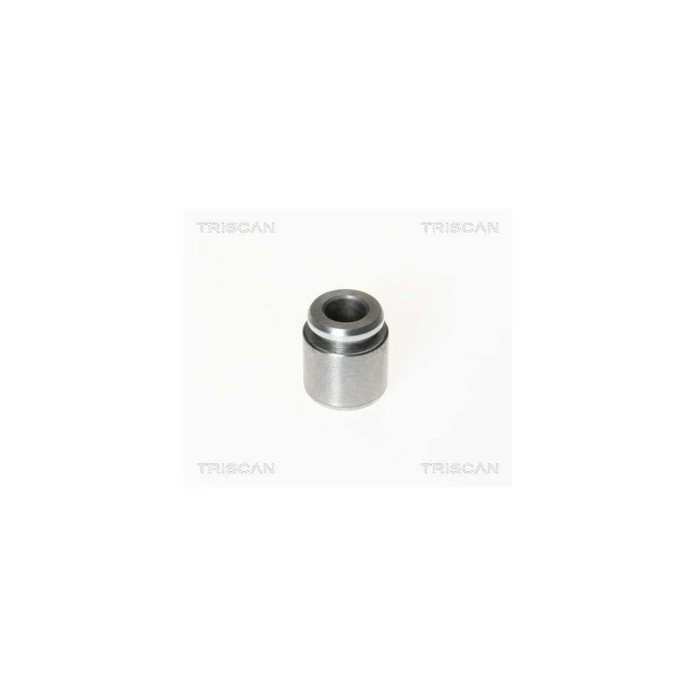 Поршень тормозного суппорта TRISCAN 8170 232801, фото №1