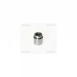 Поршень тормозного суппорта TRISCAN 8170 232801 - Фото 1