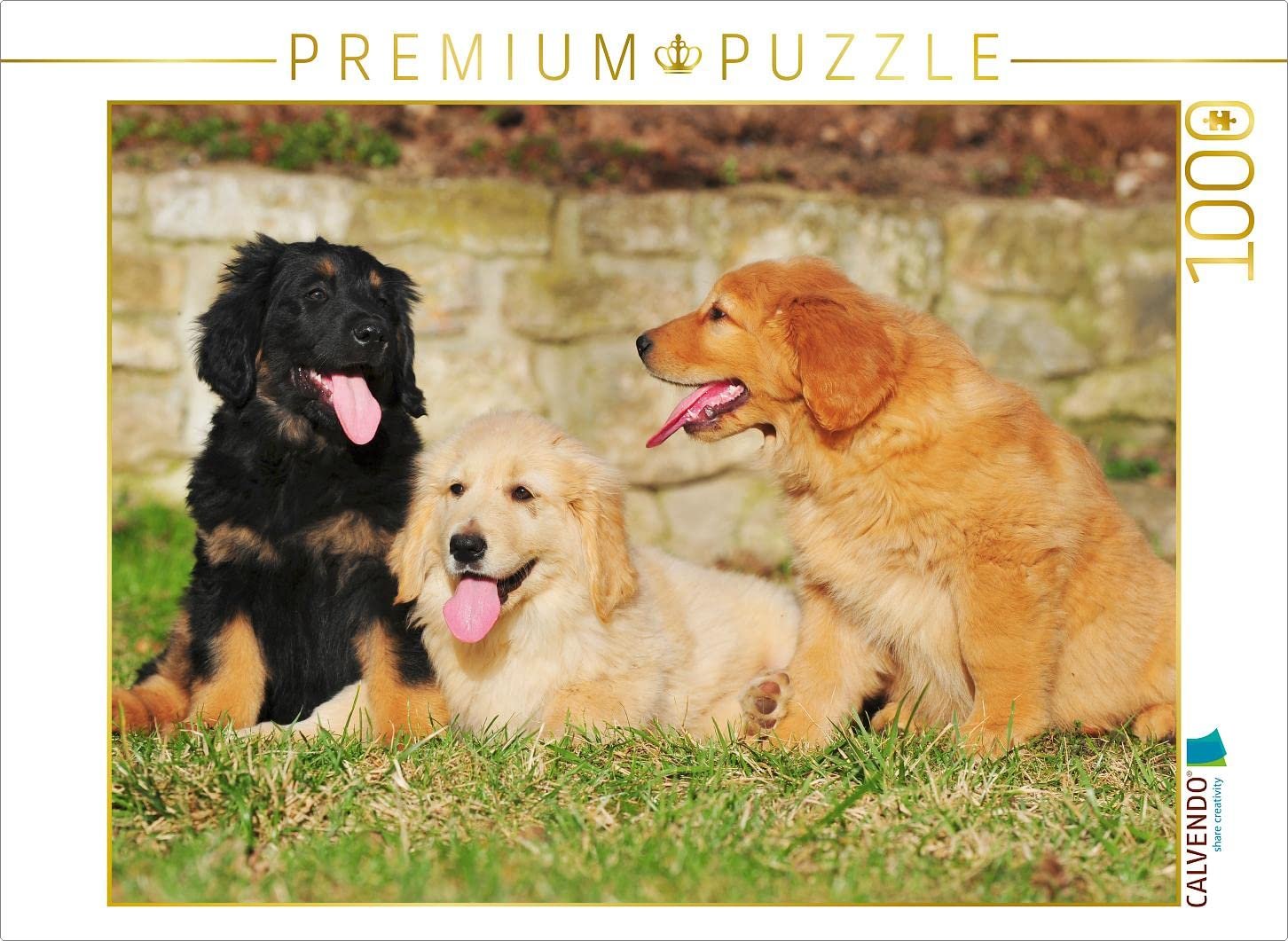Пазл CALVENDO Hovawart Puppies ландшафтный 1000 деталей 64 x 48 см, фото №1 Пазл CALVENDO Hovawart Puppies ландшафтный 1000 деталей 64 x 48 см, фото №1