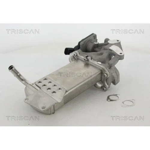 Клапан EGR TRISCAN 8813 29302 для SEAT SKODA VW, фото №3