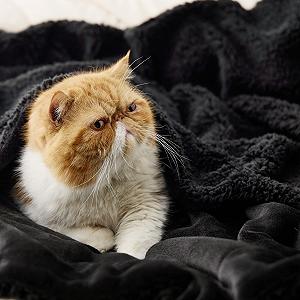 Покривало BEDSURE Пухнастий плед для дивана synthetic.ua - Фото 1