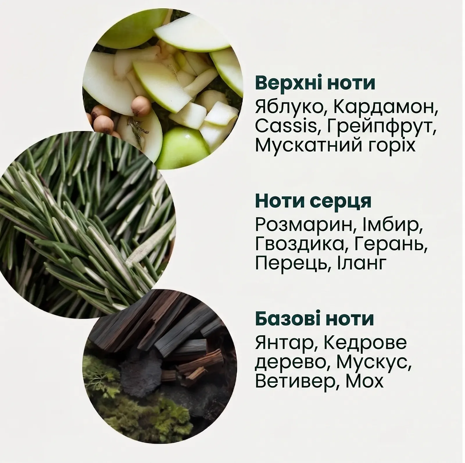 Бальзам для рук Jean & Len Розмарин и Имбирь / увлажнение и восстановление / 250 мл, фото №4 Бальзам для рук Jean & Len Розмарин и Имбирь / увлажнение и восстановление / 250 мл, фото №4