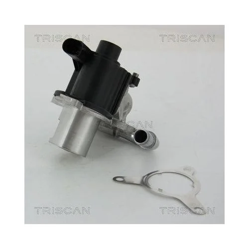 Клапан EGR TRISCAN 8813 25039 для NISSAN RENAULT DACIA, лівий, верхній, нижній, фото №3