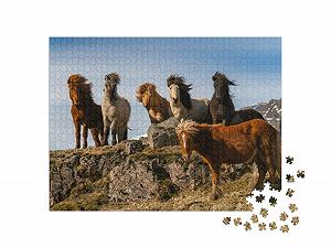 Пазл puzzleYOU Лошади "Табун исландских лошадей на сильном ветру" 1000 деталей synthetic.ua - Фото 1