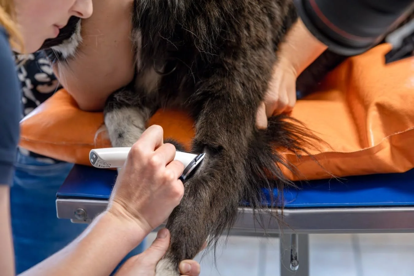 Машинка для стрижки тварин Kerbl Aesculap Isis GT608 Сіра, фото №6 Машинка для стрижки тварин Kerbl Aesculap Isis GT608 Сіра, фото №6