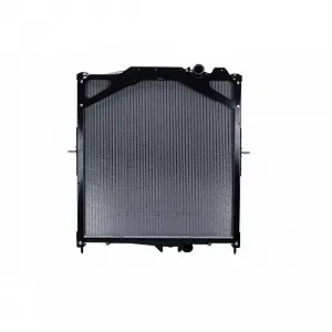 Радиатор охлаждения двигателя HELLA 8MK 366 300-041 для VOLVO synthetic.ua - Фото 1