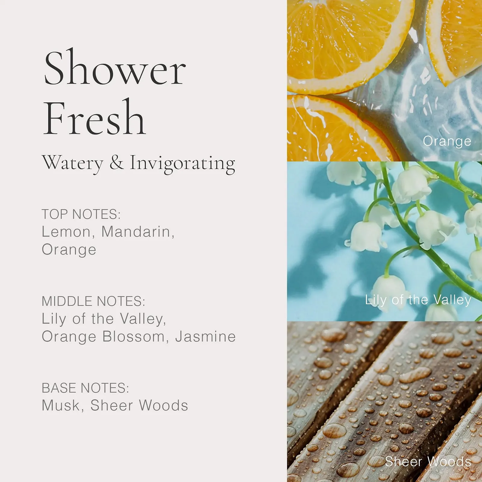 Парфюмированная вода CLEAN Classic Shower Fresh 60 мл, фото №4