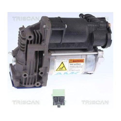 Компрессор пневмосистемы TRISCAN 8725 11102 для BMW, фото №4