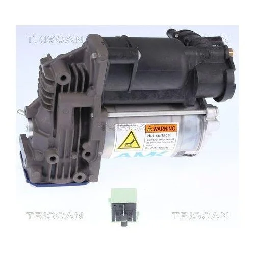 Компрессор пневмосистемы TRISCAN 8725 11102 для BMW, фото №4