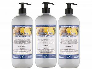 Гель для душу та шампунь 2-в-1 Fresh Ginger 3 шт по 1 л з помпою - Фото 1