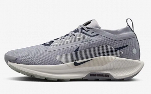 Кроссовки Nike Pegasus Trail 5 GTX Голубые размер 45 synthetic.ua - Фото 1