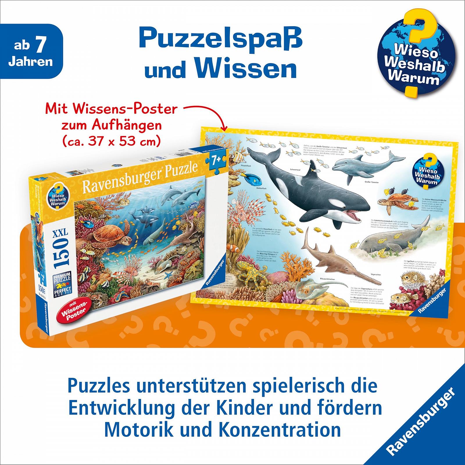 Пазл Ravensburger Wieso? Weshalb? Why? 13411 Sea Animals on Coral Reef 150 XXL деталей з постером, фото №5