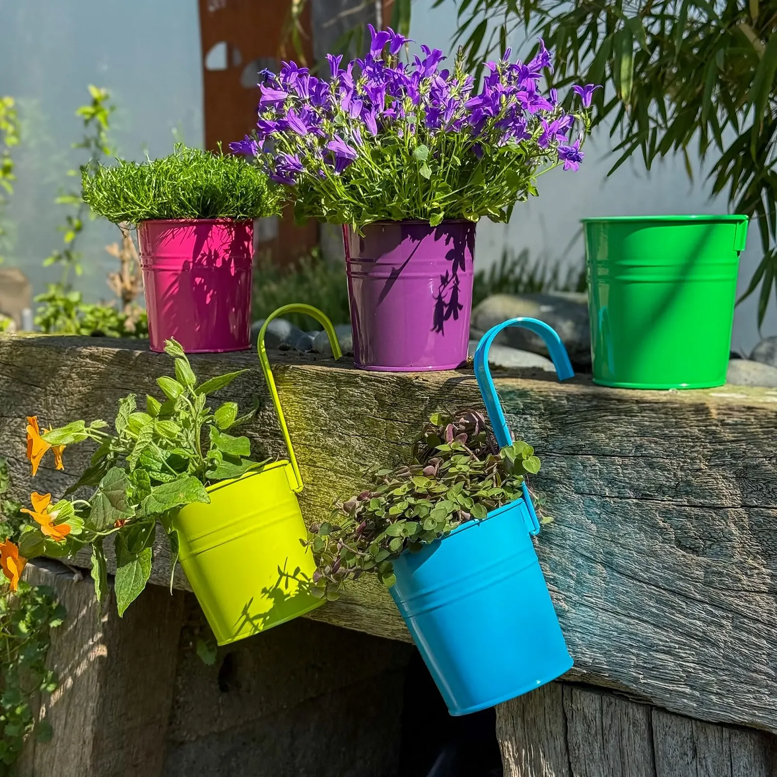 Підвісні квіткові горщики UNUS Набір 10 шт. Різнокольорові, фото №4 Підвісні квіткові горщики UNUS Набір 10 шт. Різнокольорові, фото №4