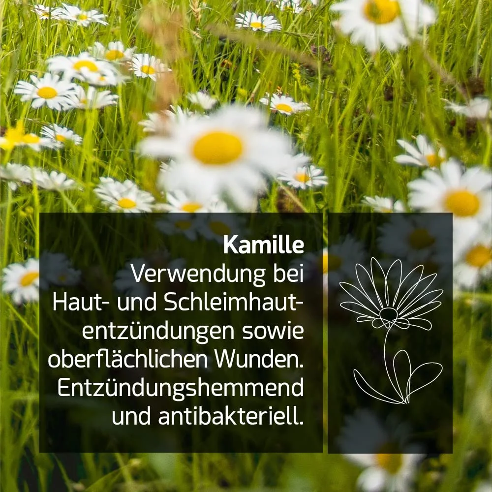 Лосьон для рук Sixtus Care - Крем для рук по уходу за руками, крем для всех типов кожи с альпийскими травами - 100 мл, фото №3 Лосьон для рук Sixtus Care - Крем для рук по уходу за руками, крем для всех типов кожи с альпийскими травами - 100 мл, фото №3