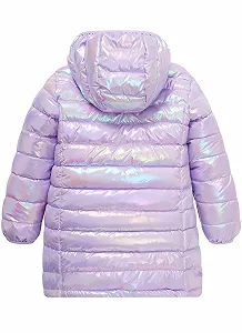 Куртка ALISISTER Зимняя Куртка для девочек с капюшоном, длинный рукав, блестящая куртка-пуховик с карманами для возраста 5-12 лет synthetic.ua - Фото 1