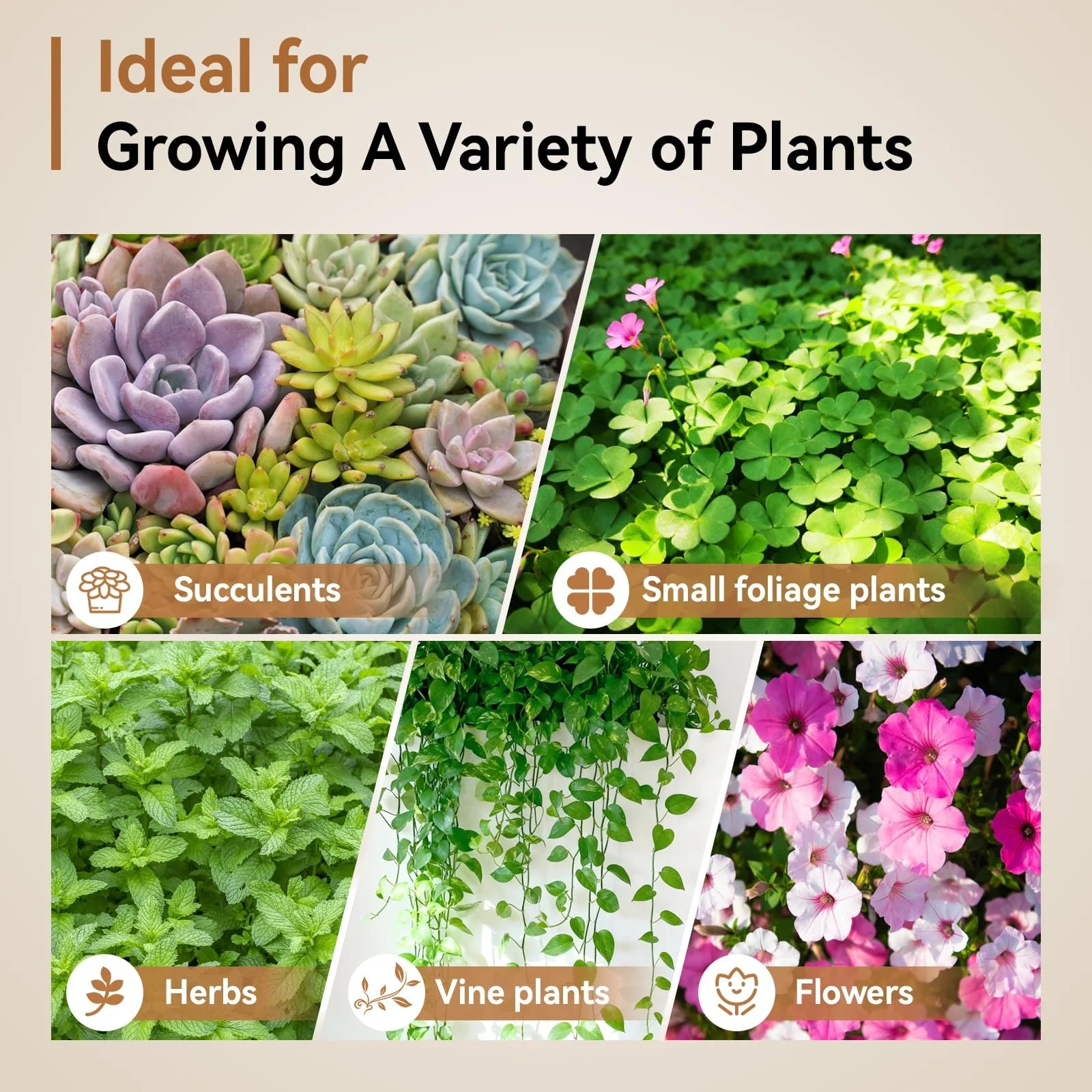 Вкладиші з кокосового волокна Halatool для підвісних кошиків, 3 шт., 35 см, круглі, фото №6 Вкладиші з кокосового волокна Halatool для підвісних кошиків, 3 шт., 35 см, круглі, фото №6