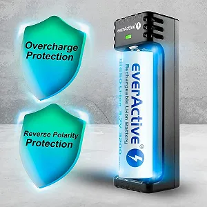 Зарядное устройство everActive LC-100 Li-ion Micro USB Черный synthetic.ua - Фото 1