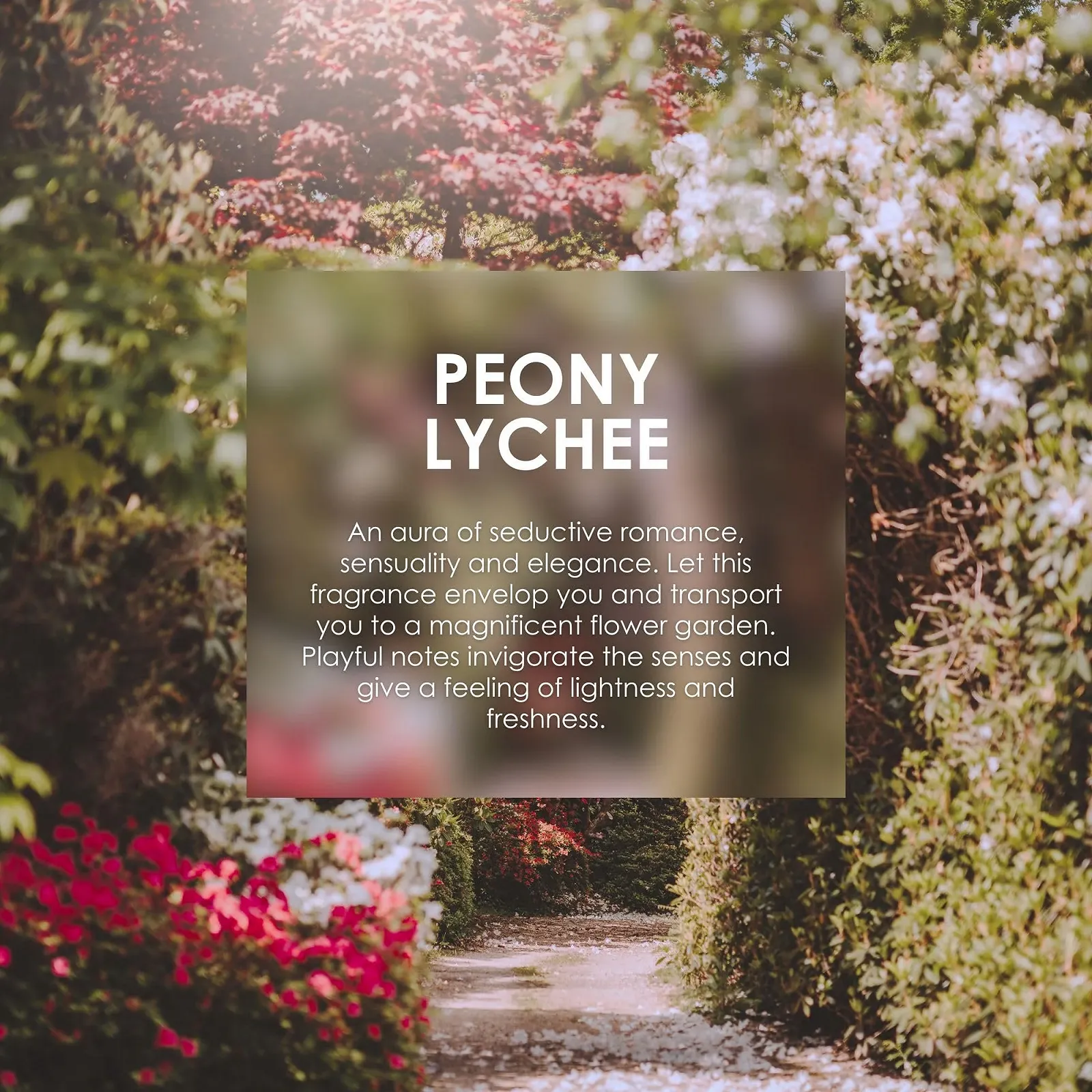 Туалетна Вода Jean & Len Scent Experience Півонія & Лічі 10 мл, фото №6 Туалетна Вода Jean & Len Scent Experience Півонія & Лічі 10 мл, фото №6