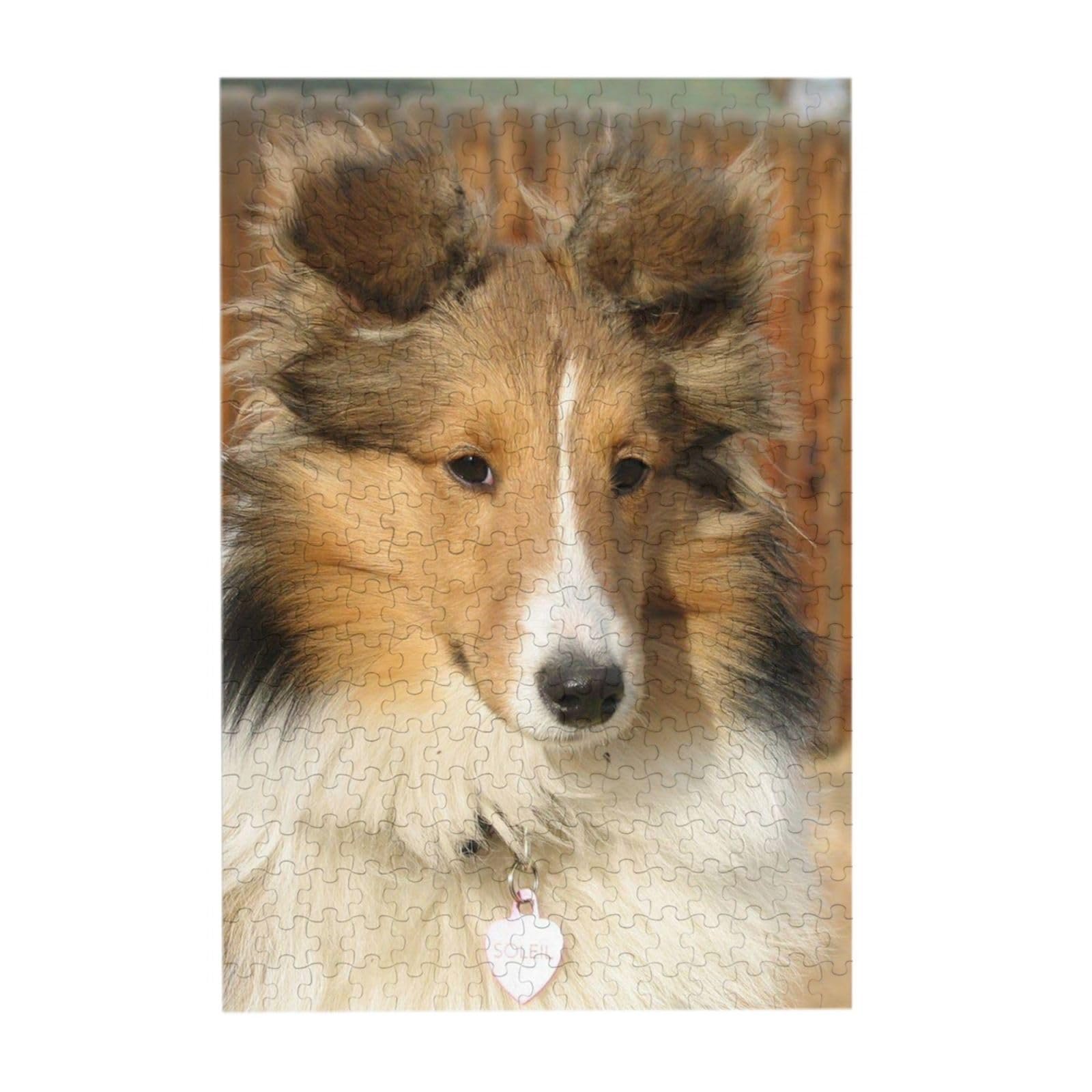 Пазл дерев'яний Beautiful Sheltie Dog, 300 елементів, фото №3 Пазл дерев'яний Beautiful Sheltie Dog, 300 елементів, фото №3