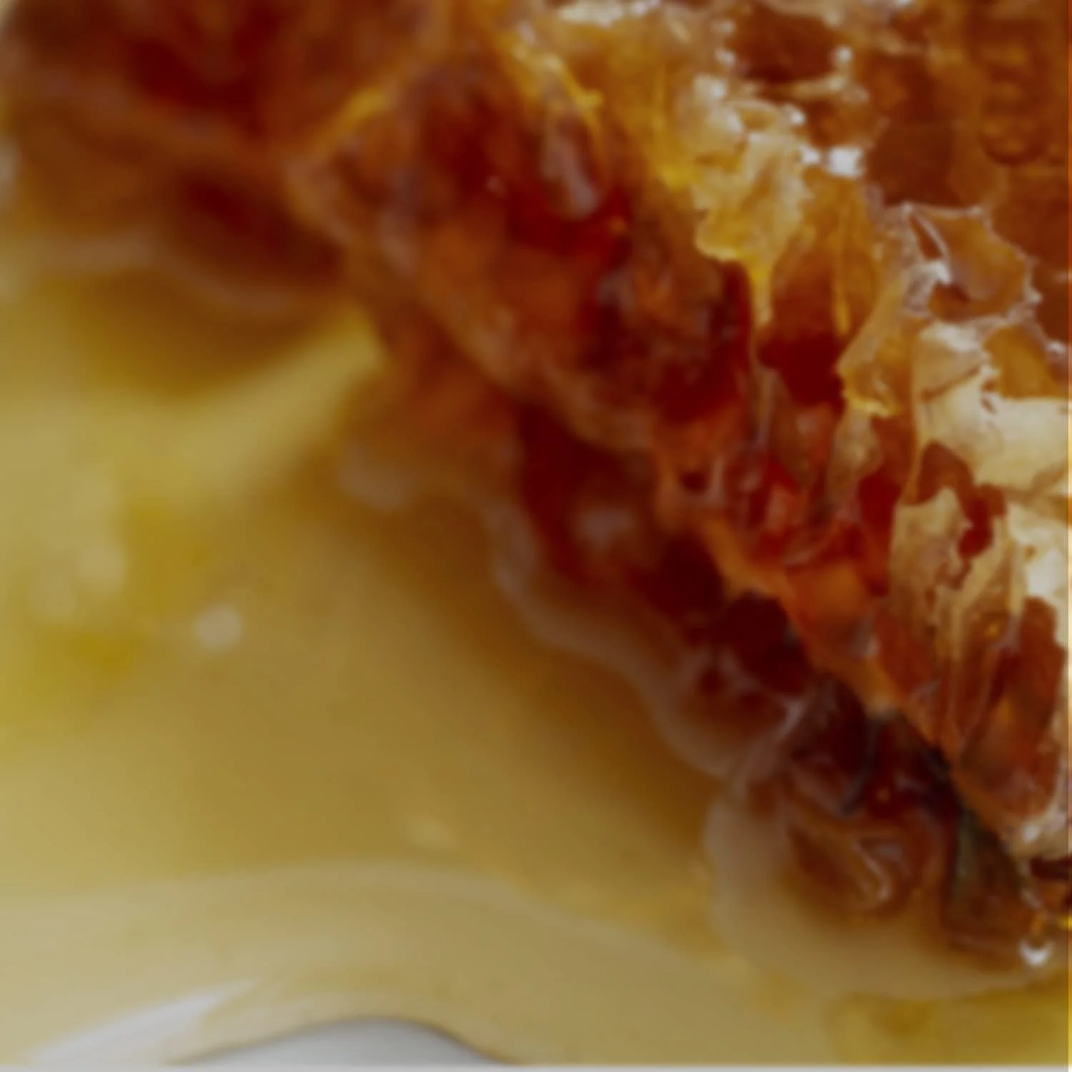 Молочко для тіла Aquolina Raised Honey Солодкий, делікатний і обволікаючий для оксамитової шкіри 250 мл, фото №3