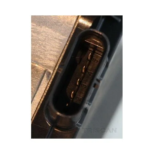 Клапан EGR TRISCAN 8813 10031 для ALFA ROMEO FIAT, фото №2