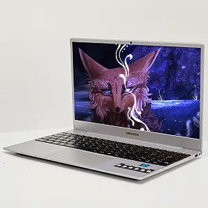 Ноутбук 15.6" Medion (Lenovo Group) Akoya E15408 | Intel Core i5-1135G7 | IPS (1920x1080) FullHD | RAM 8 ГБ | SSD 256 ГБ | Intel Iris Xe Graphics | Метал | Підсвітка клавітаруи | Зарядка через Type-C | Win10 (377) - Фото 1