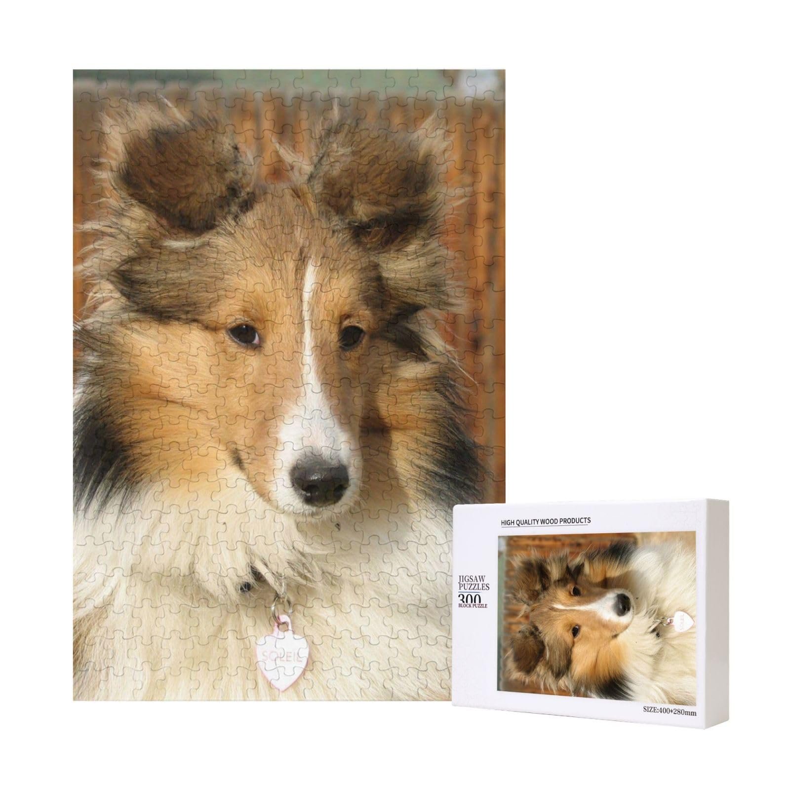 Пазл дерев'яний Beautiful Sheltie Dog, 300 елементів, фото №1 Пазл дерев'яний Beautiful Sheltie Dog, 300 елементів, фото №1
