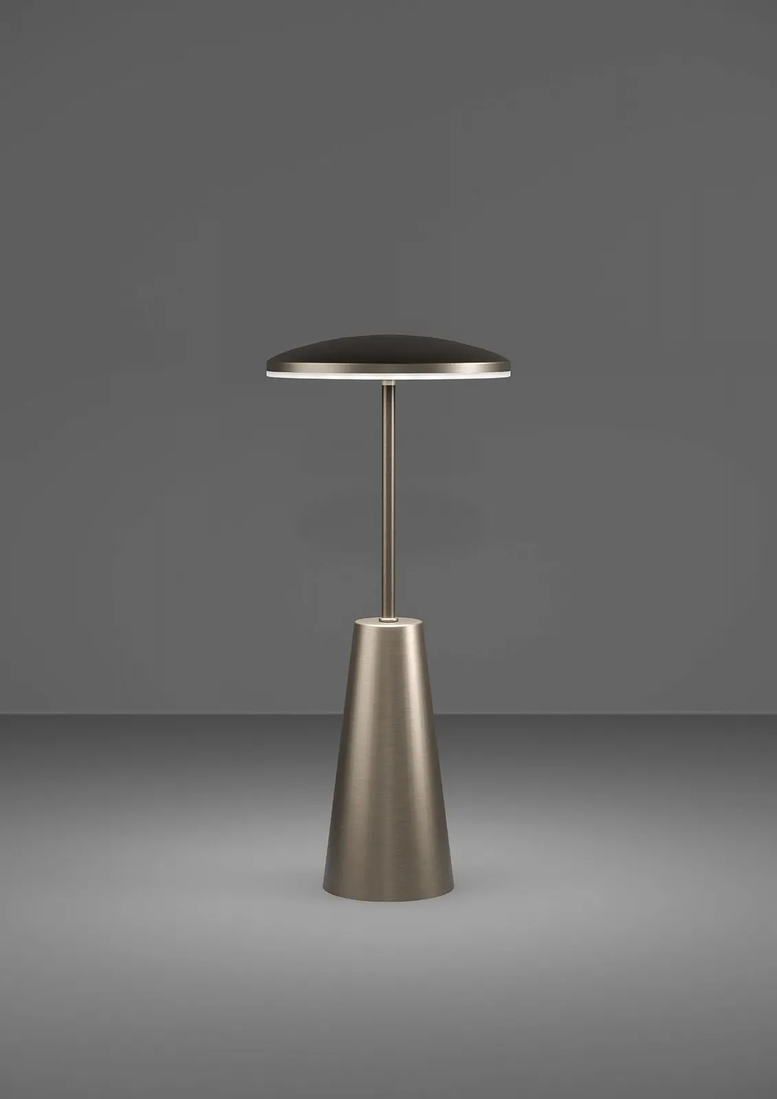 Світлодіодна вулична настільна лампа EGLO Piccola сенсорна димована з регулюванням кольору IP54 бронзова металева пластикова, фото №3