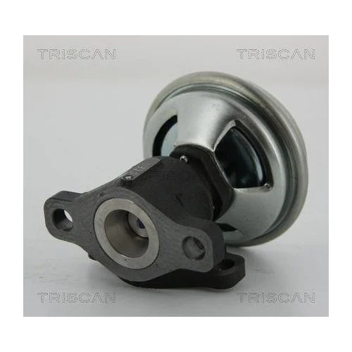 Клапан EGR TRISCAN 8813 43003 HYUNDAI KIA, фото №2